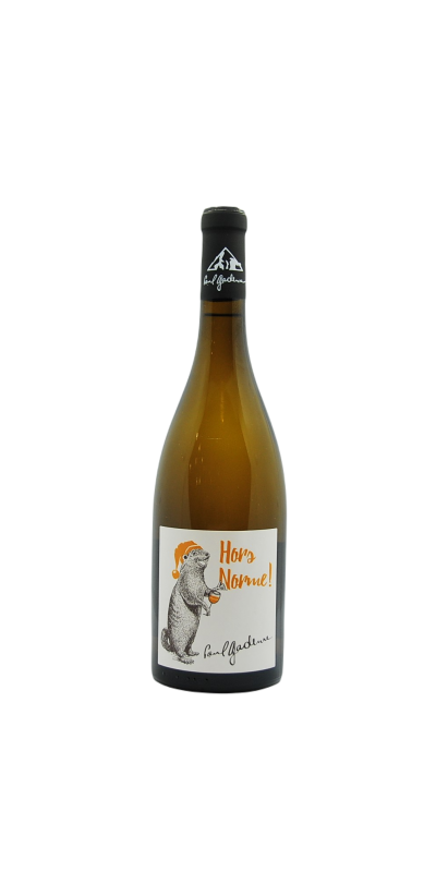 Image of Vin de France Hors norme blanc