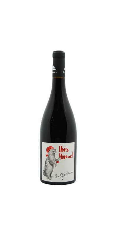 Image of AOP Vin de Savoie Hors norme rouge