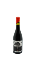 Image of Vin de France Carignan radical