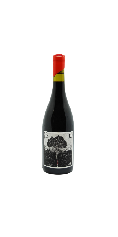 Image of Vin de France Carignan radical