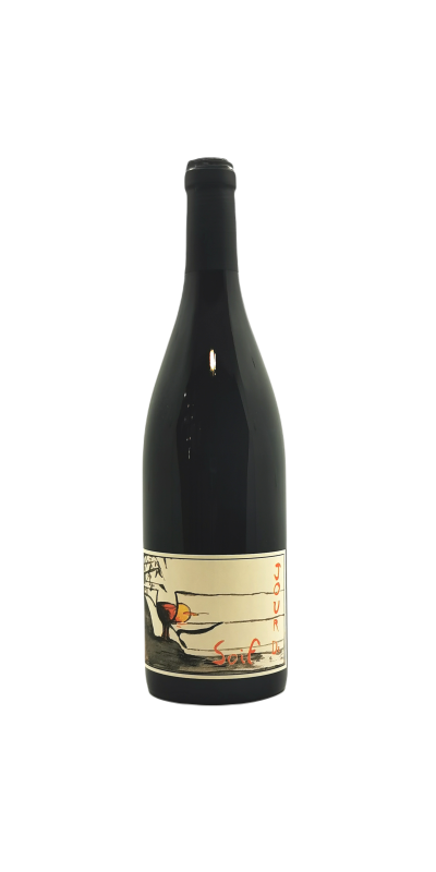 Image of AOC Bourgueil Jour de soif