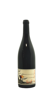 Image of AOC Bourgueil Jour de soif