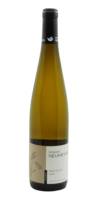 Image of AOP Alsace Pinot blanc Tulipe