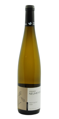 Image of AOP Alsace Pinot blanc Tulipe