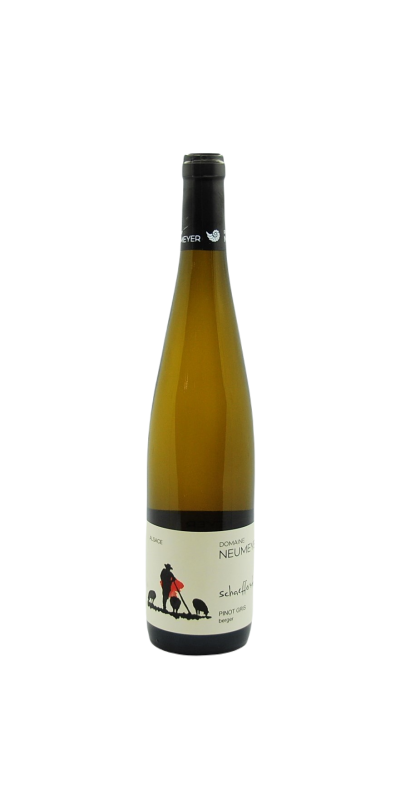 Image of AOP Alsace Pinot gris Berger Schaefferstein