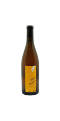 Image of Vin de France "Cotillon" amphore blanc