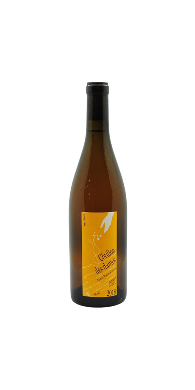 Image of Vin de France "Cotillon" amphore blanc