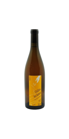 Image of Vin de France "Cotillon" amphore blanc